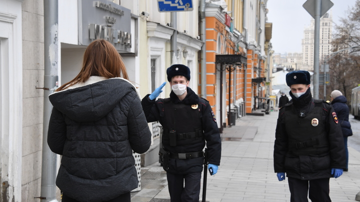 В Новосибирской области будет работать туристическая полиция