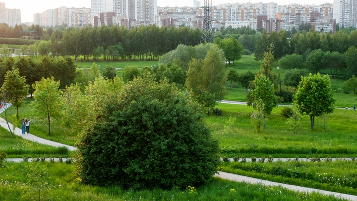 Сергей Собянин сообщил, как Москве удалось сделать воздух чистым