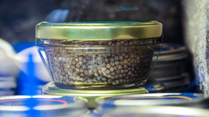 Сотни килограммов поддельной чёрной икры из Китая завезли в Россию