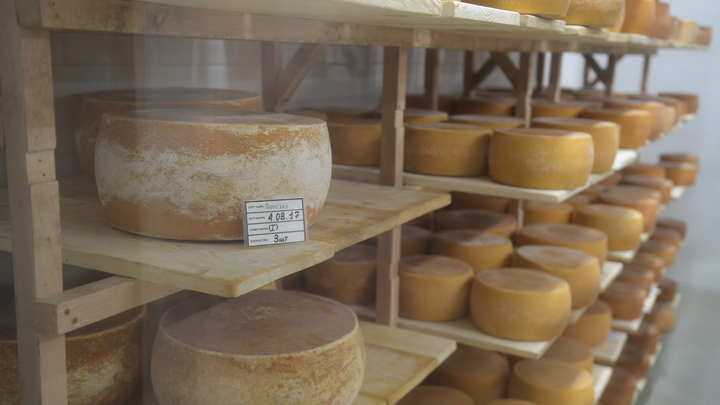 В России предложили запретить уничтожать контрафактные продукты питания