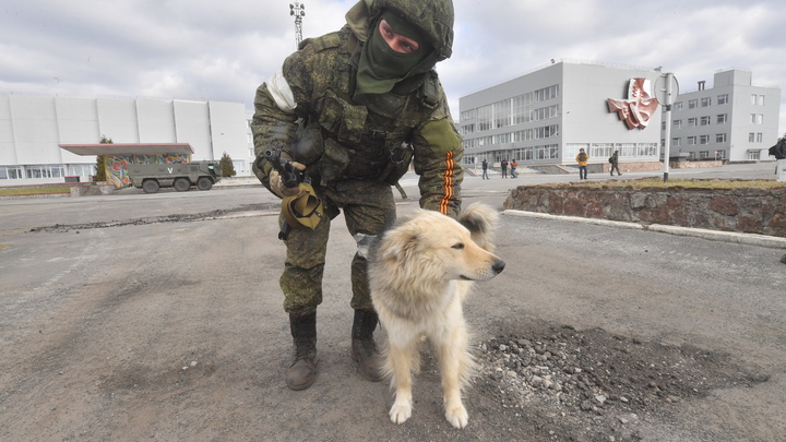 Главное о ситуации на Украине к 14 октября 2022: ВСУ пытаются прорвать линию обороны в ЛНР