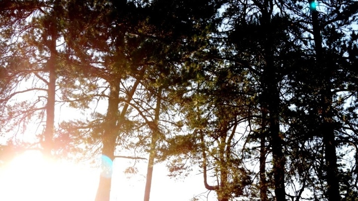 В Самарской области введен 4-й класс пожароопасности