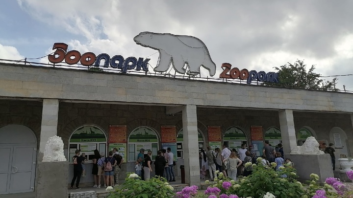 Безобразная кража в Ленинградском зоопарке: похититель забрал и потерял редкую ящерицу