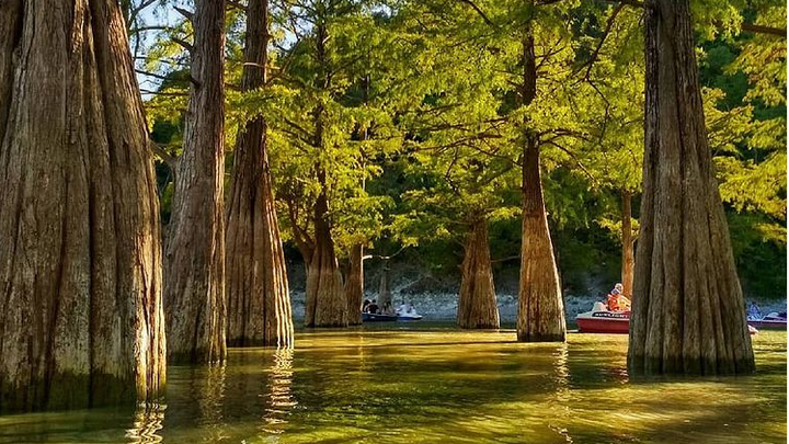 На кипарисовом озере в Сукко разрешили кататься на лодках