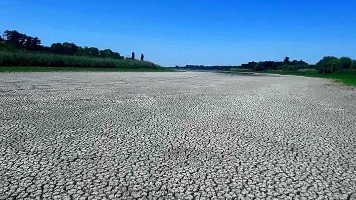 В Тимашевском районе пересохла речка Кирпильцы