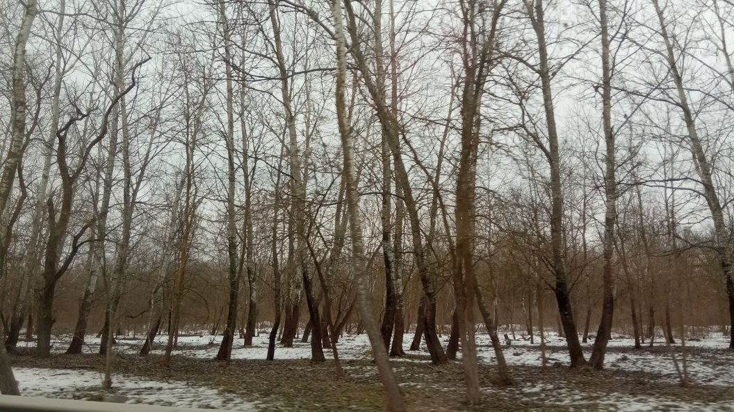 Погода на дону в феврале. Фото Ростова 2023 февраль. Ростов февраль погода.
