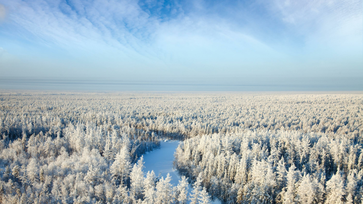 Судмедэксперт: ледяной саркофаг Усольцевых вскроется весной