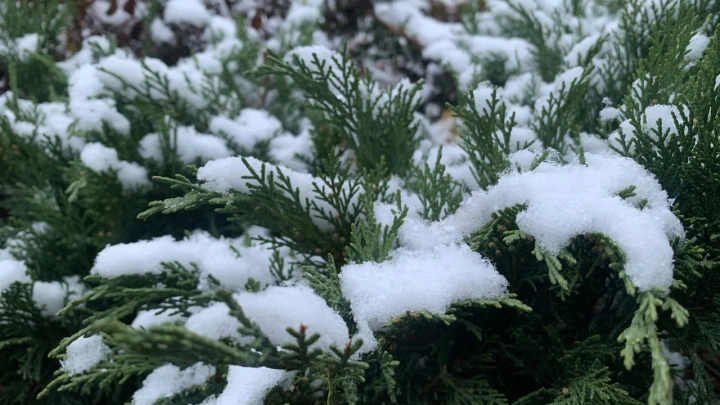 До -15: в новогоднюю ночь в Москве ударят морозы