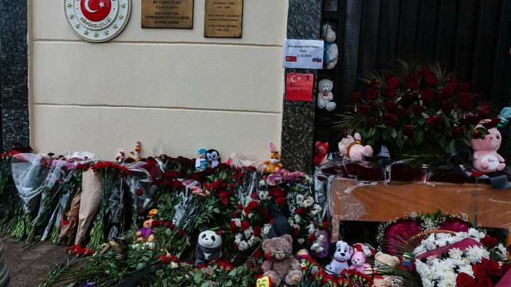 Спасатели из России обнаружили под завалами в Турции 130 тысяч долларов
