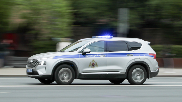 В Подмосковье рабочему предложили закопать труп