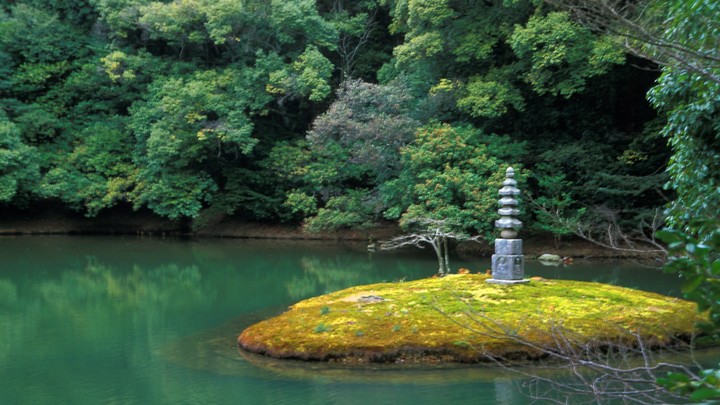 В водоём японского сада парка Краснодар запустили рыбок