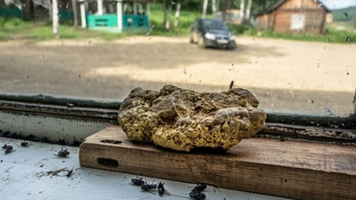 К забайкальским старателям нагрянет прокурорская проверка
