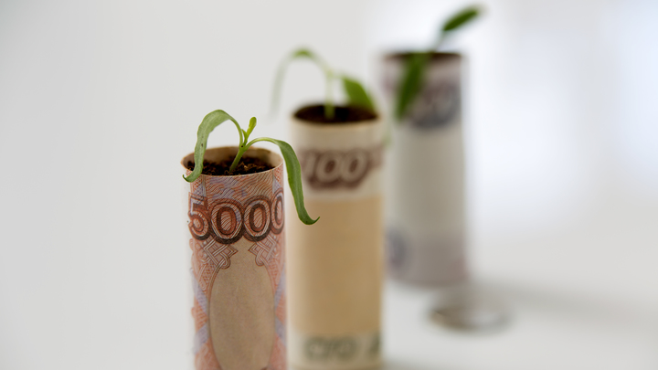 Бесконечные междуэлитные батлы: Михеев оценил заявления о деноминации рубля