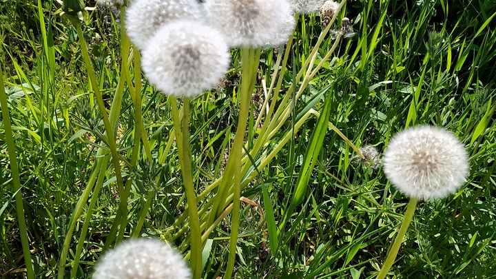 На Кубани в 2022 году особо охраняемые территории местного значения создадут в 25 районах