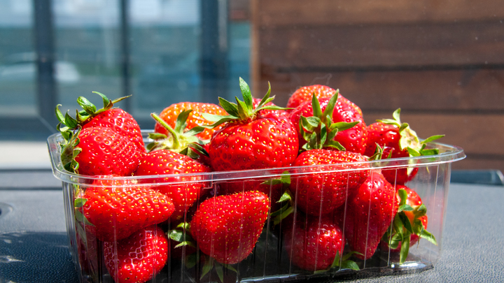 На левом берегу Херсонщины начался сбор клубники