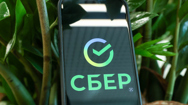 Авторизоваться в сервисе Мой газ теперь можно по Сбер ID