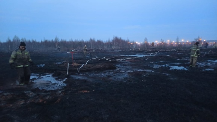 В МЧС установили, что стало причиной пожара торфяника на окраине Екатеринбурга
