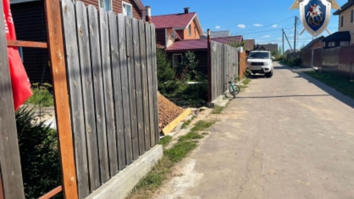 В Нижегородской области возбудили уголовное дело из-за нападения ротвейлера на ребёнка