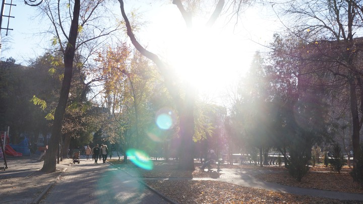 Погода в Ростове-на-Дону 24 марта 2022: прогноз синоптиков