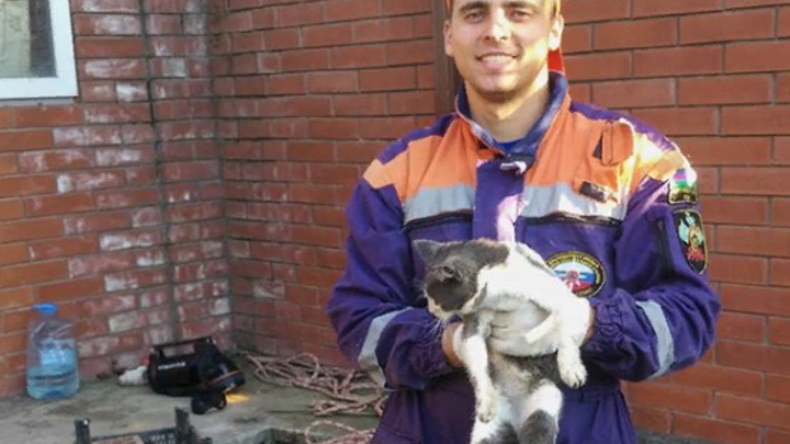 На Кубани спасатели достали упавшего в колодец кота