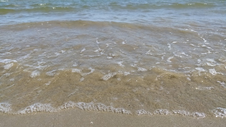 Трёхкратный рост микропластиковых отложений зафиксирован в океане за 20 лет