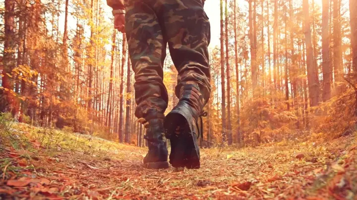 В Роскачестве предупредили о штрафах для грибников