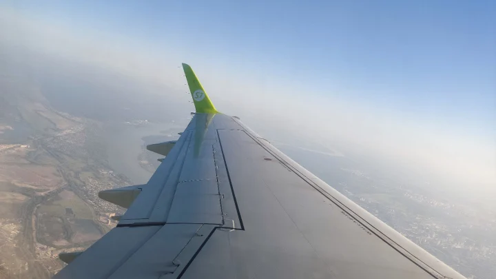 Собака на полосе прервала посадку самолёта S7 в аэропорту Новосибирска