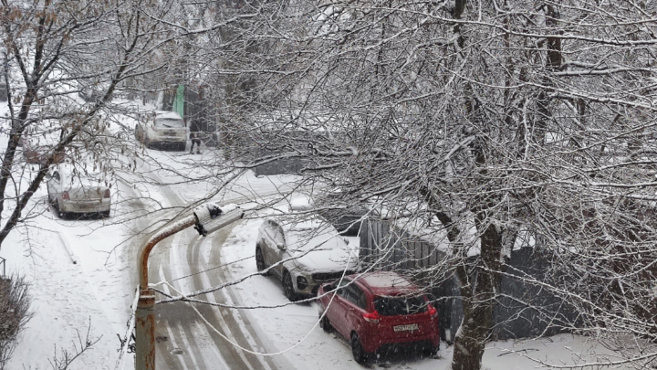 Погода в Ростове-на-Дону 16 февраля 2023: прогноз синоптиков