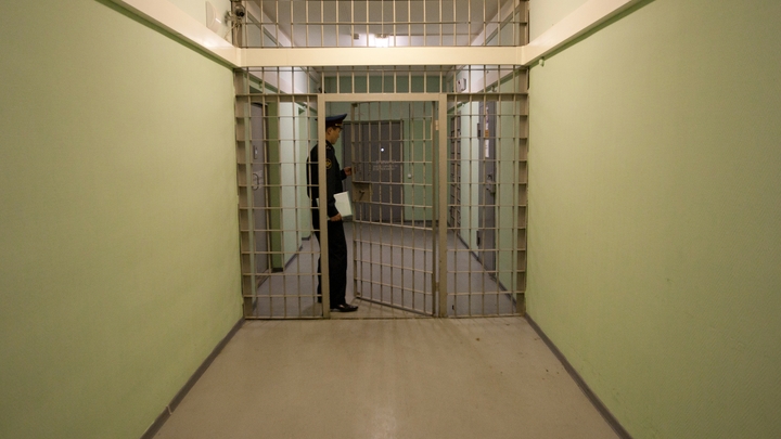 Напавших с ножом на полицейского троих мужчин арестовали в Новосибирске