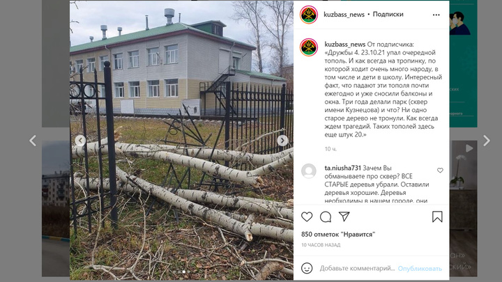 В Новокузнецке упавший тополь сломал кованую ограду сквера
