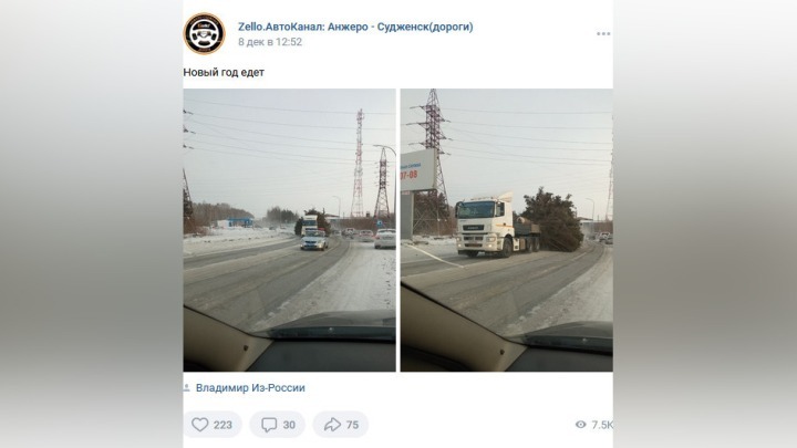 Способ перевозки главной городской елки возмутил жителей Кузбасса