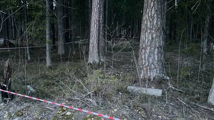 Погоня за расстрелявшим полицейских мужчиной в Подмосковье продолжается