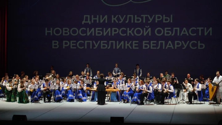 Фото: пресс-служба правительства Новосибирской области