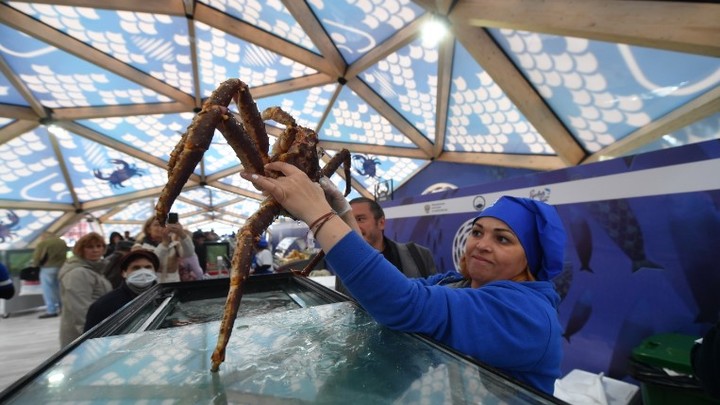 Крабы довели депутата-миллиардера из Сахалина до тюрьмы