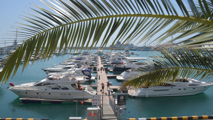 В морпорту Сочи опровергли слухи о нехватке мест для стоянки яхт