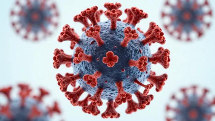 Уже третий под подозрением: в Подмосковье ищут друга пациента с оспой обезьян