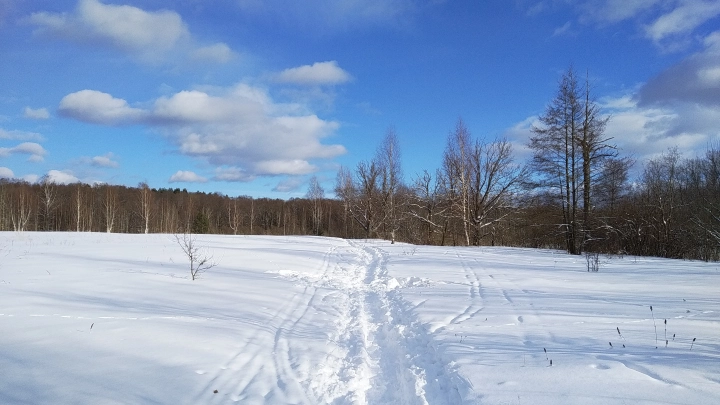 Роман Вильфанд рассказал, скоро ли уйдут февральские холода