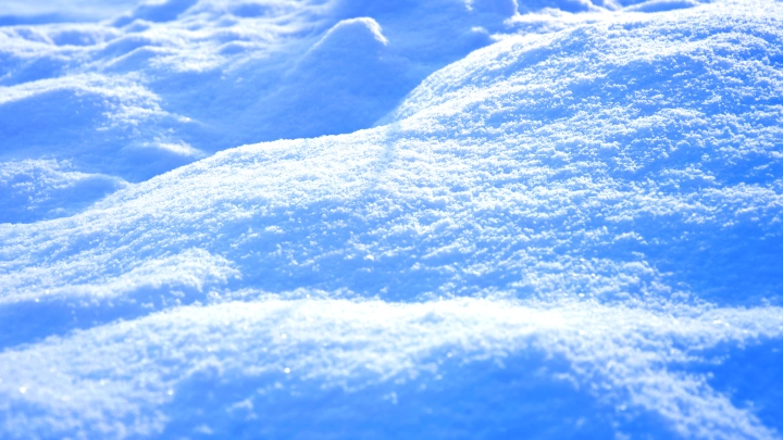 Житель Камчатки отозвал заявление об угоне когда откопал автомобиль из сугроба