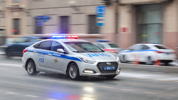 Пермяка отправили в колонию на два года за оскорбление полицейского