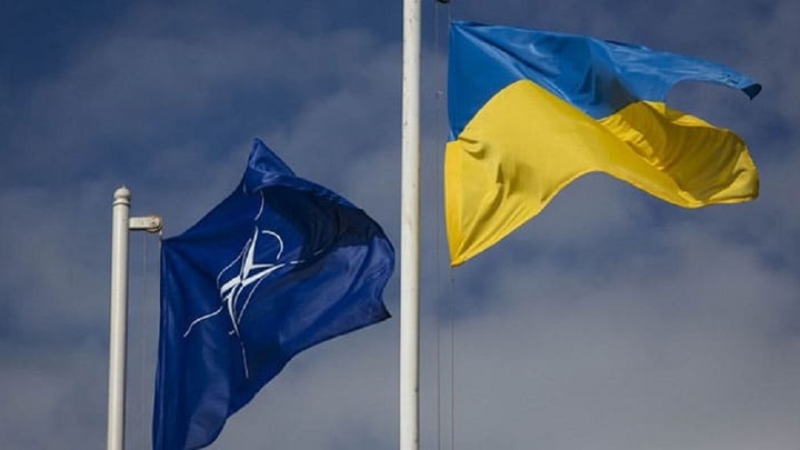 Украинский конфликт вверг НАТО в кризис — Макгрегор