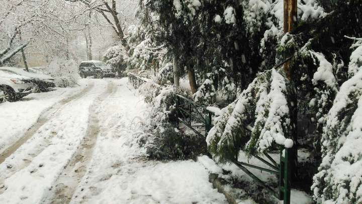 Снегопад в Краснодаре: аэропорт закрыт, на дорогах десятки ДТП