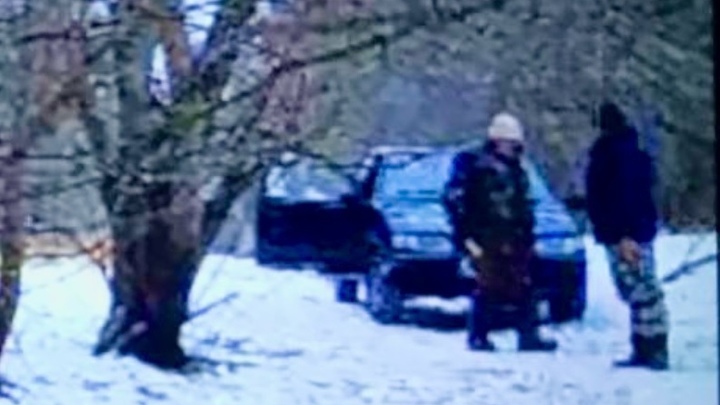 В Самарской области в фотоловушку попался редкий вид вороватого безработного