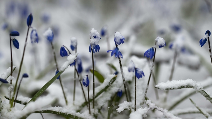 Когда наступит весна в Самарской области: затяжные морозы не отступят до 27 марта 2022