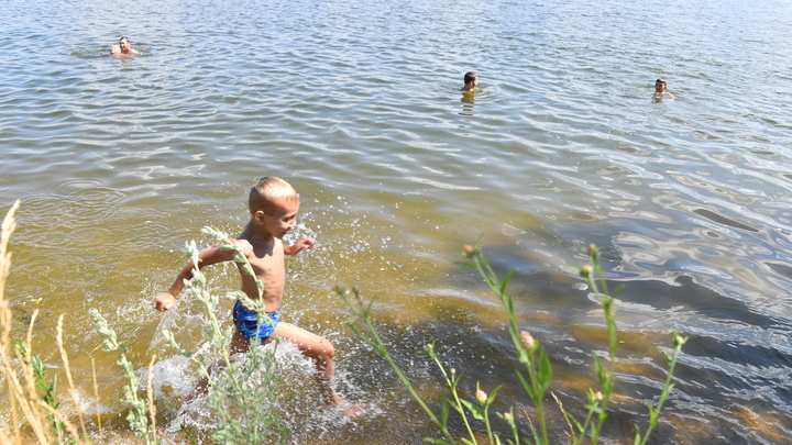 Где можно искупаться и какая температура воды в Химках