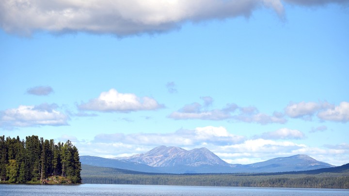Турецкие мастера приехали в Россию, чтобы устроить скандал. Не получилось