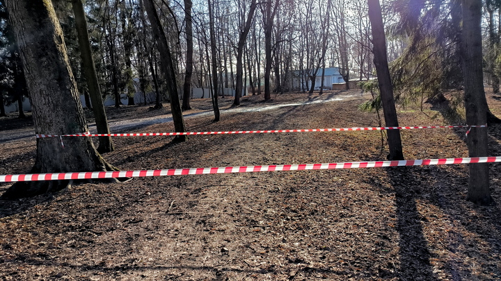 Следователи установили причины гибели женщины, чье тело нашли в овощной яме в Перми
