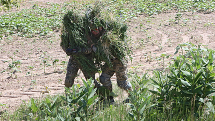 Спецотряд ВСУ попытался втихую прорваться к русским у Пятихаток. Поплатились почти все