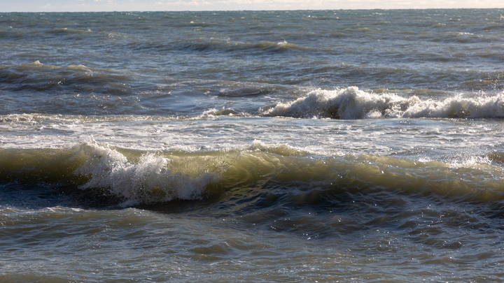 Ученые нашли зуб мегалодона, корторый жил более трех миллионов лет назад