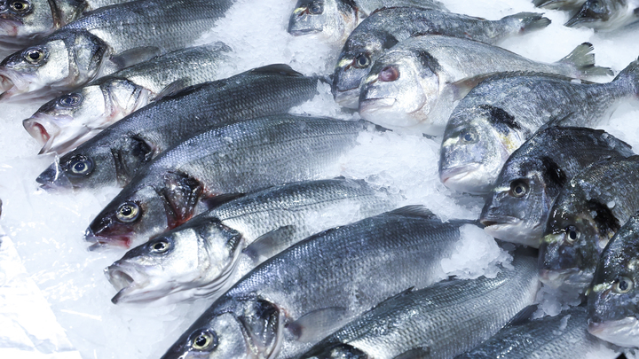 Диетологи назвали продукты, которые улучшают работу мозга