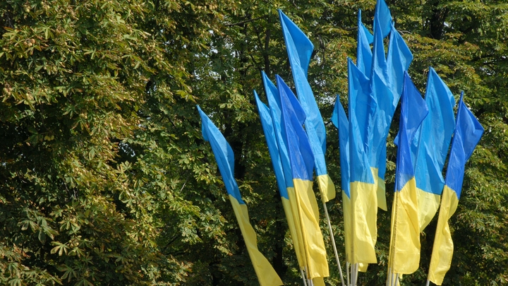 Владелец заправки в Бердянске обменивал бензин на украинские флаги